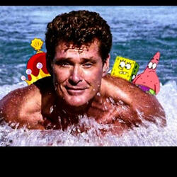 David hasselhoff