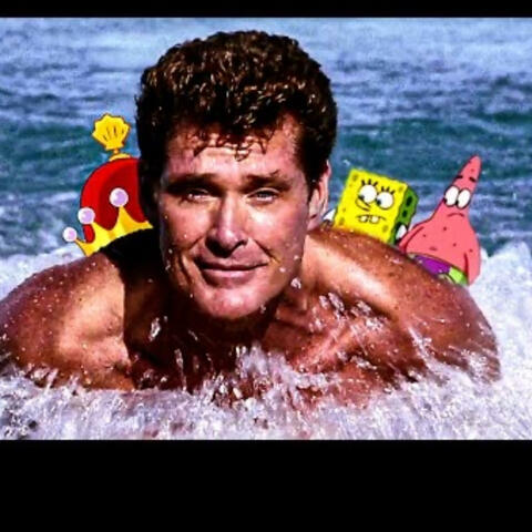 David hasselhoff