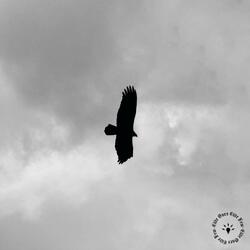 Life's too short (feat. Atlas Major)