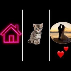 A house, a cat and a honeymoon