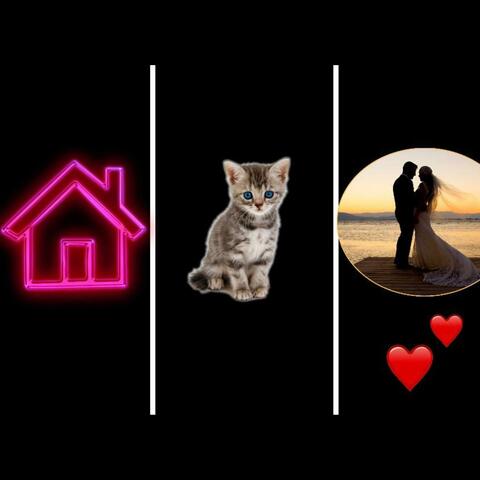 A house, a cat and a honeymoon