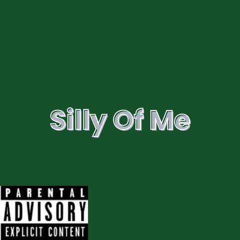 Silly Of Me