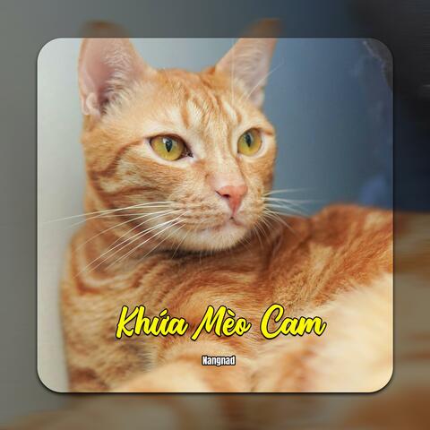Khứa Mèo Cam