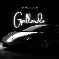 Gallardo