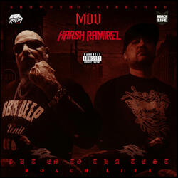 Put Em To Tha Test (feat. Harsh Ramirez)