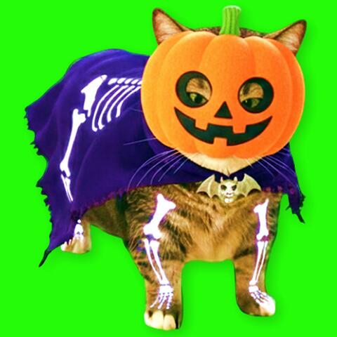 OIIA OIIA HALLOWEEN Spinning CAT