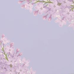 Lilac Dreams