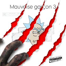 Mauvais garçon 3