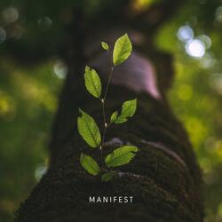 MANIFEST (5 minute mediation)