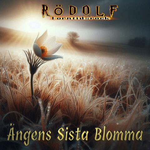 Ängens Sista Blomma