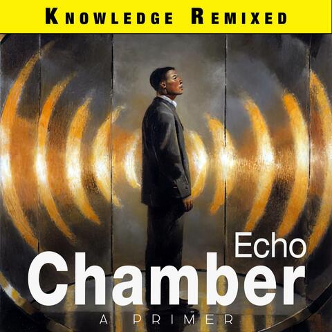 Echo Chamber: A Primer