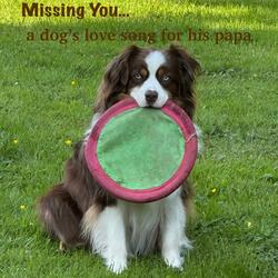 Missing You... a dog's love song for his papa (feat. Kimbra Leigh)
