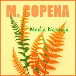 Media Naranja