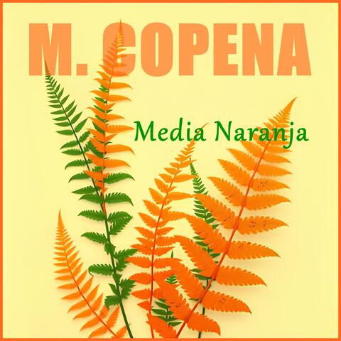 Media Naranja
