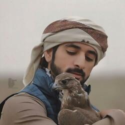 شيلي نوع علي غيابك