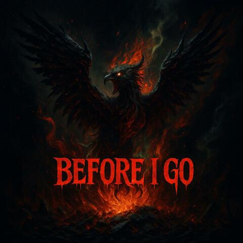 Before I Go