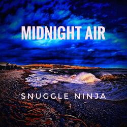 Midnight Air