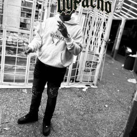 Went Legit Freestyle