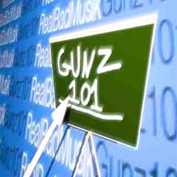 gunz101