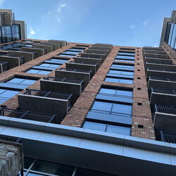 Looking Thru The Lenses