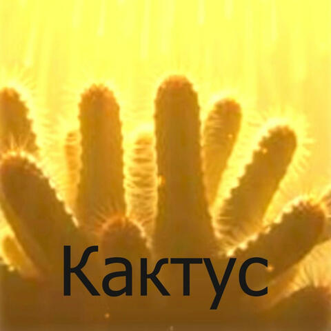 Кактус 2