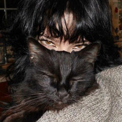 that one girl with more cats than friends