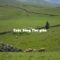 Cuộc Sống Thư Giãn