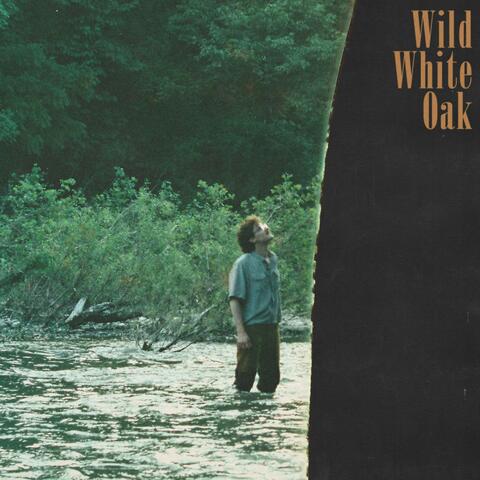 Wild White Oak