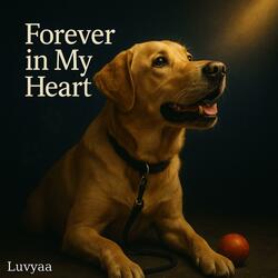 Forever in My Heart