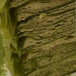 Immigrant-The-Quiet-Tea-Prince