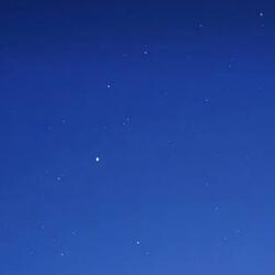 ніжна думка