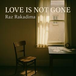 Love Is Not Gone