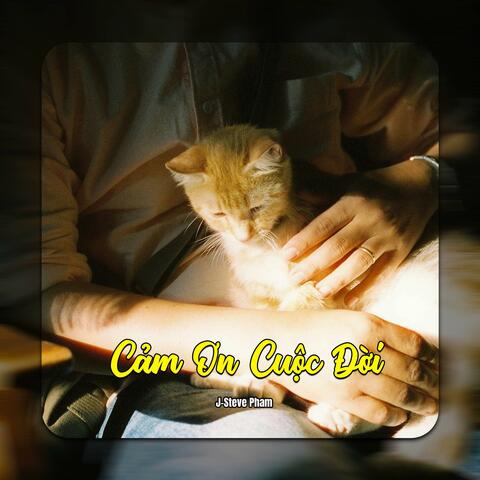 Cảm Ơn Cuộc Đời