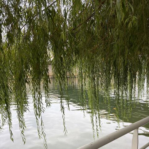 Gonna build a better world