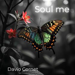 Soul me