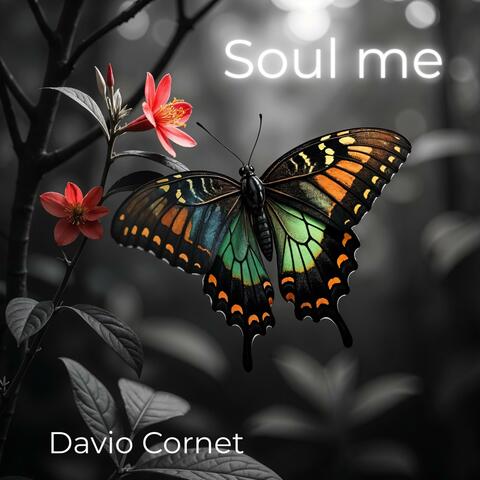Soul me