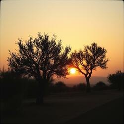 Lu Rusciu De Lu Mare