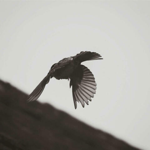 Everything, Everywhere, All At Once