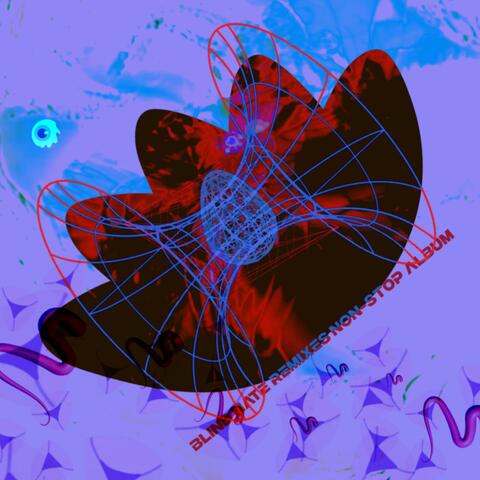 Blind Hate Remixes Non-Stop Album