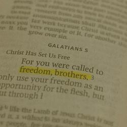 i am free! (feat. cruton)