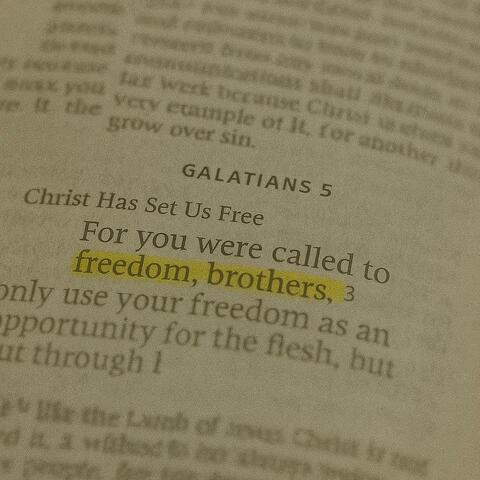 i am free! (feat. cruton)