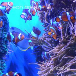 ocean breeze