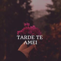 Tarde te amei