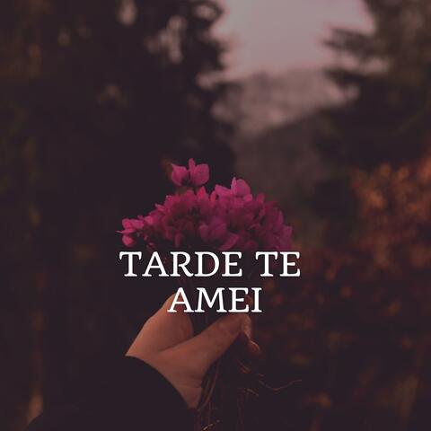 Tarde te amei