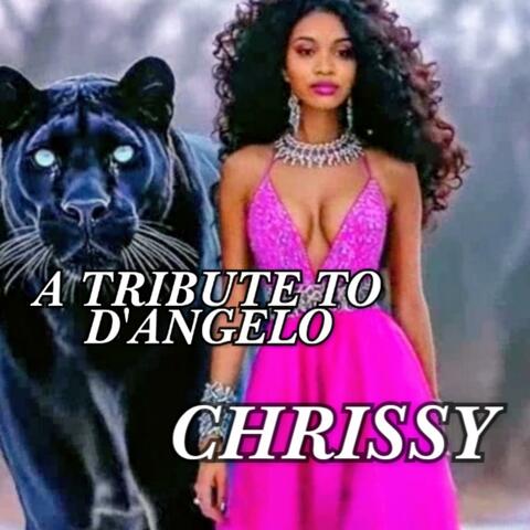 A TRIBUTE TO D'ANGELO