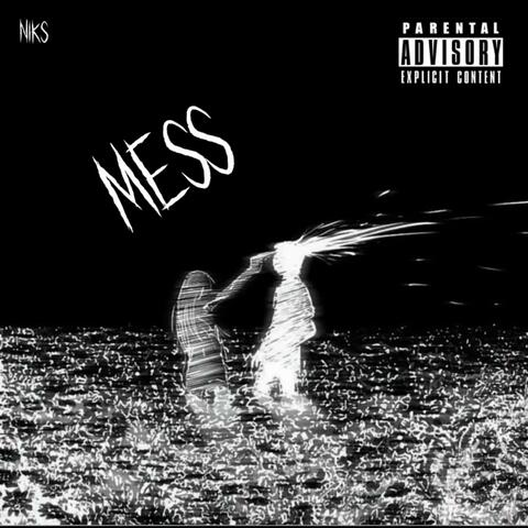 Mess
