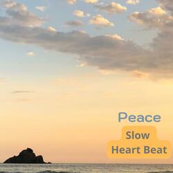 Relaxing and Relaxing with My Acoustic Guitar