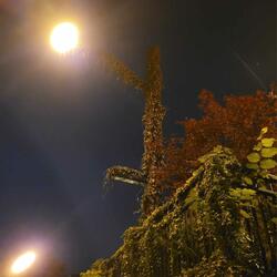 While the Weather Waits