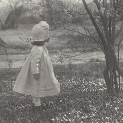 Wisdom (Demo Version)