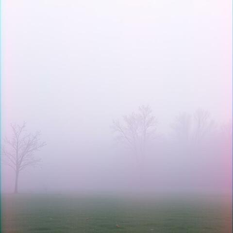 Ce matin j'ai eu envie